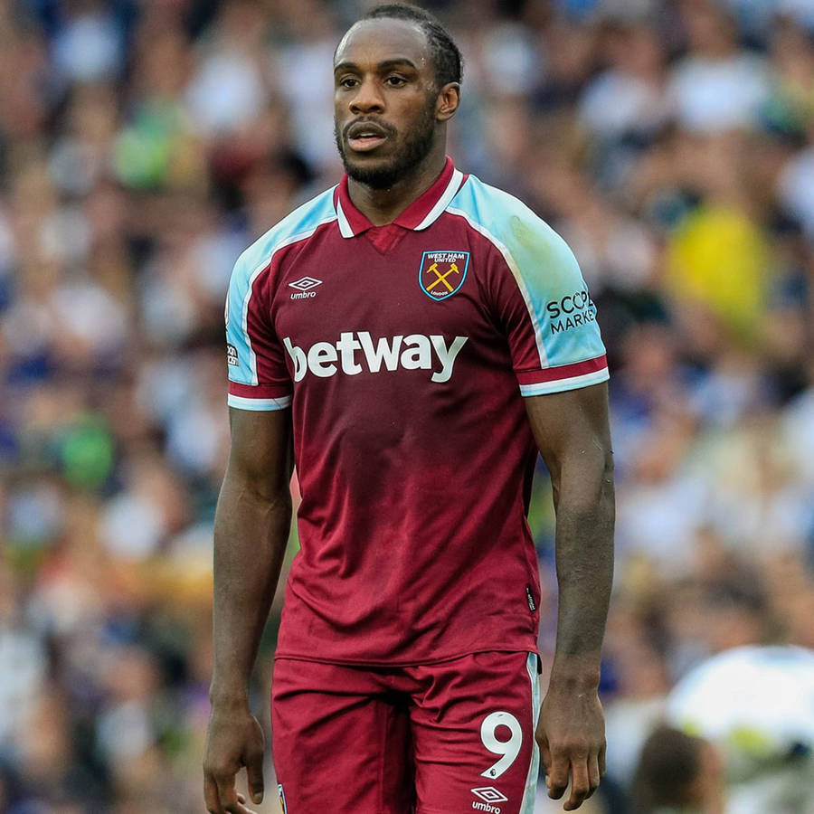 Michail Antonio - Fierce Determination On The Field Wallpaper