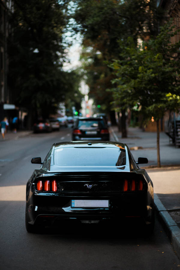 Midnight Black Ford Mustang Gt Wallpaper