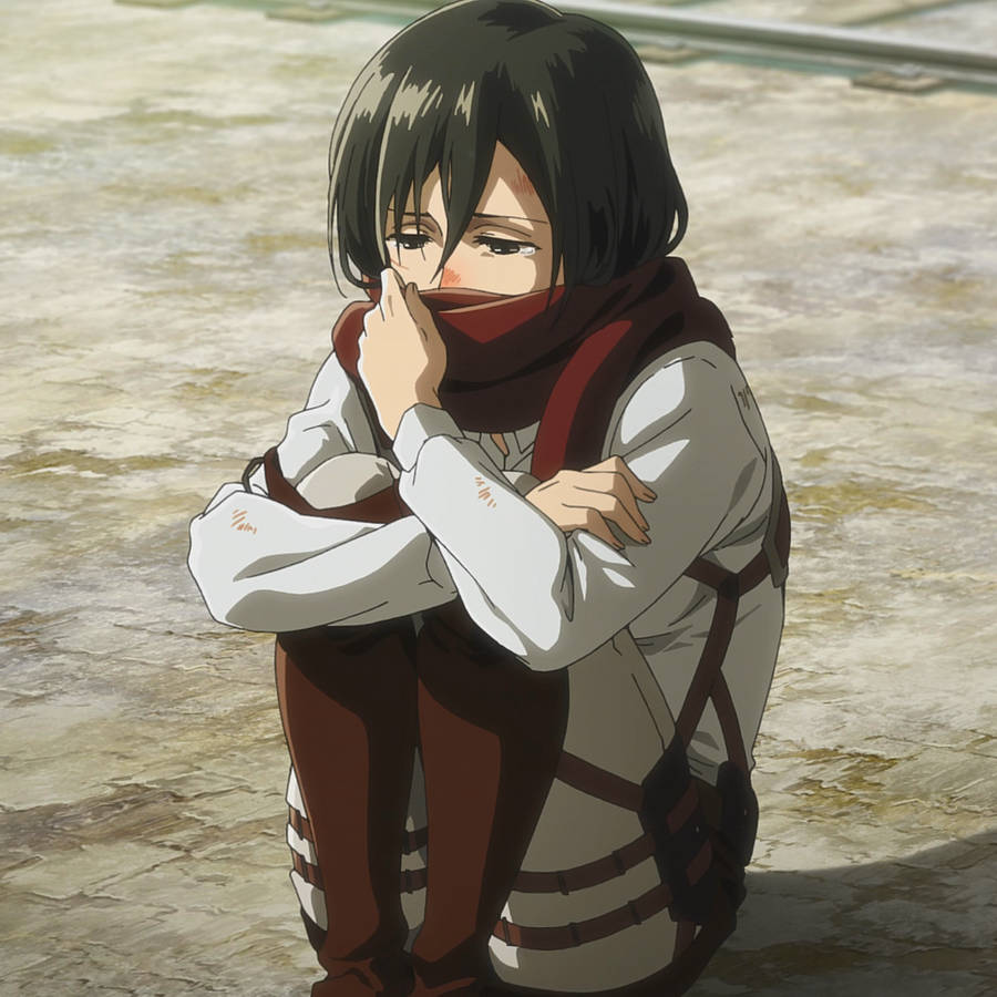 Mikasa Ackerman Sad Pfp Wallpaper