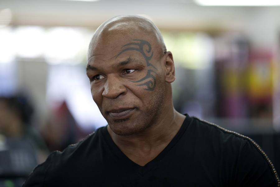 Mike Tyson 4k Black Shirt Wallpaper