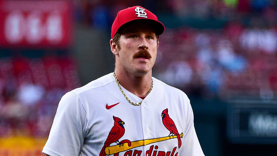 Miles Mikolas Looking Far Wallpaper