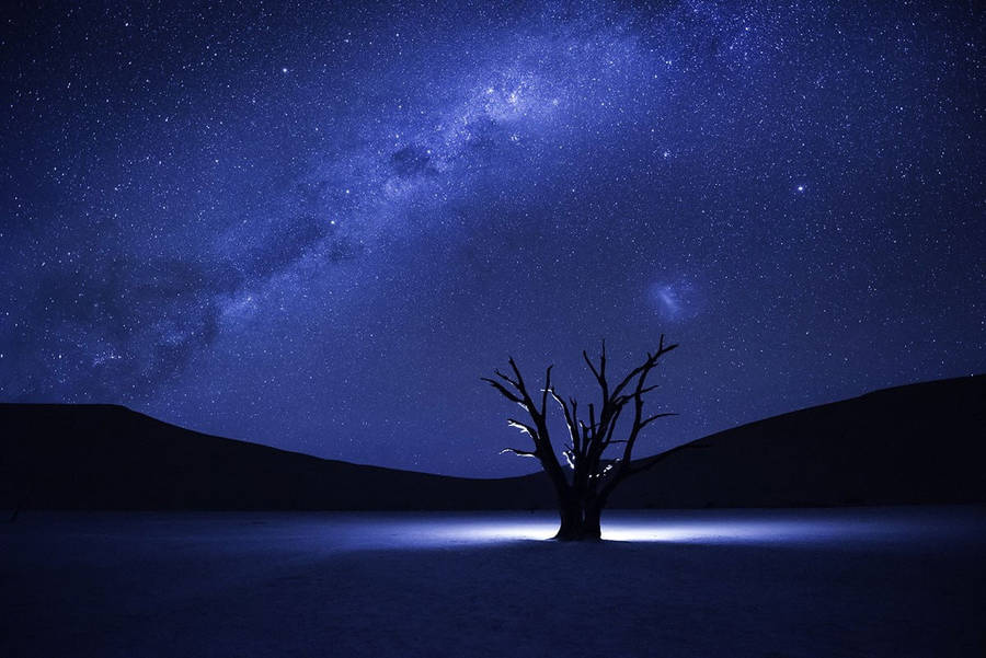 Milky Way Galaxy Bare Tree Wallpaper