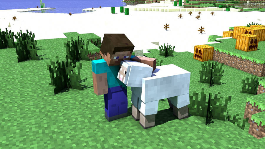 Minecraft Steve Sheep Wallpaper