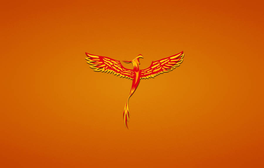 Minimal Phoenix With Fire Wings Wallpaper