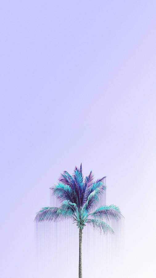 Minimalist Aesthetic Coconut Tree Wallpaper