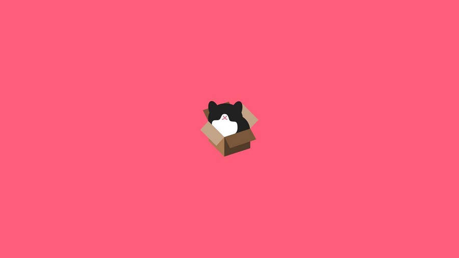 Minimalist Aesthetic Fat Cat On Box Wallpaper