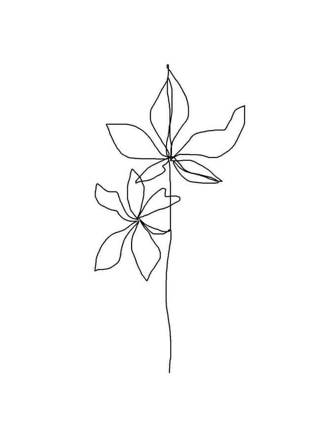 Minimalist Aesthetic Flower Pen Art Wallpaper