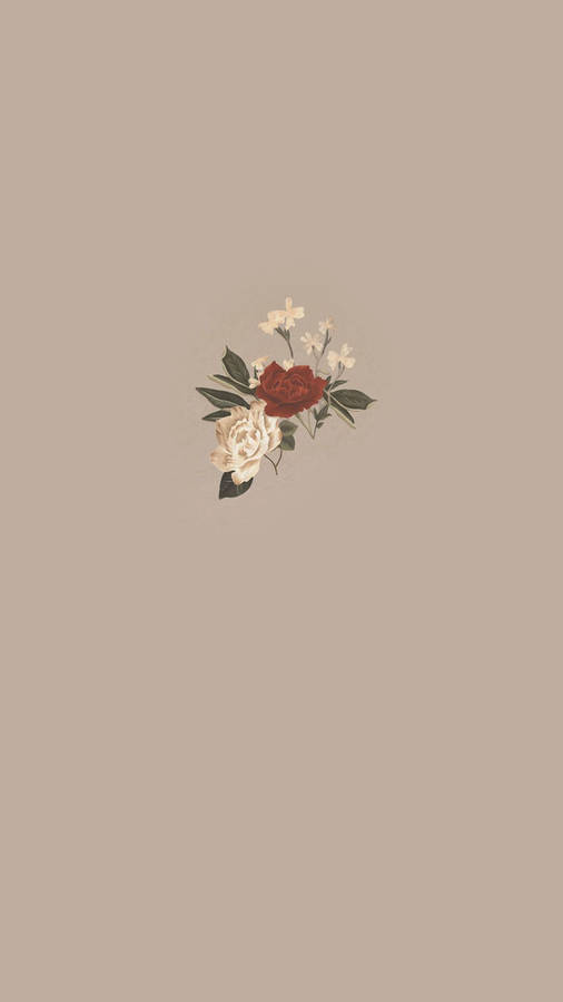 Minimalist Boho Flowers Wallpaper