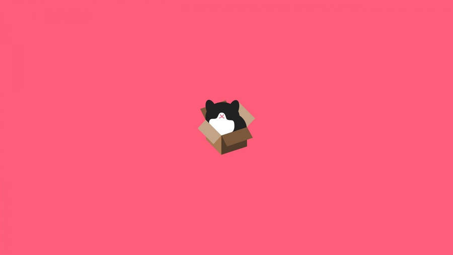 Minimalist Cat In A Pastel Box Art Wallpaper