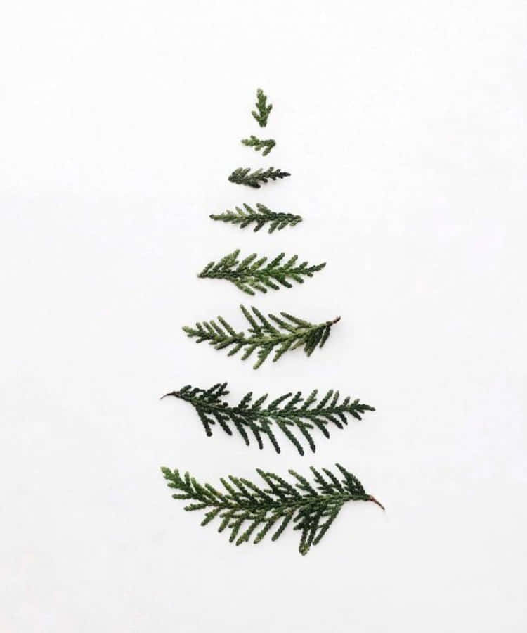 Minimalist Christmas Desktop 1000 X 1200 Wallpaper