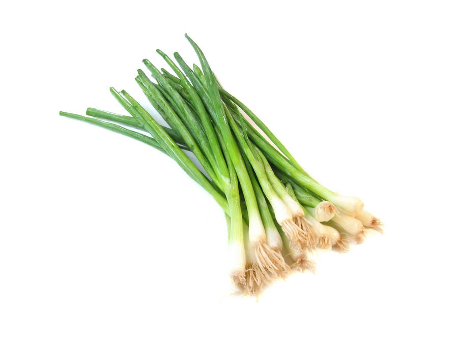 Minimalist Fresh Vegetable Spring Onion Wallpaper