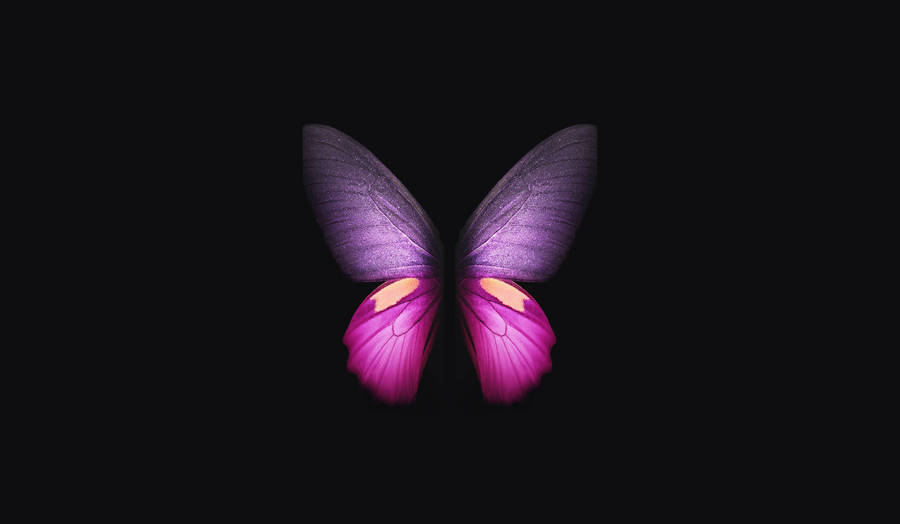 Minimalist Purple Butterfly Phone Background Wallpaper