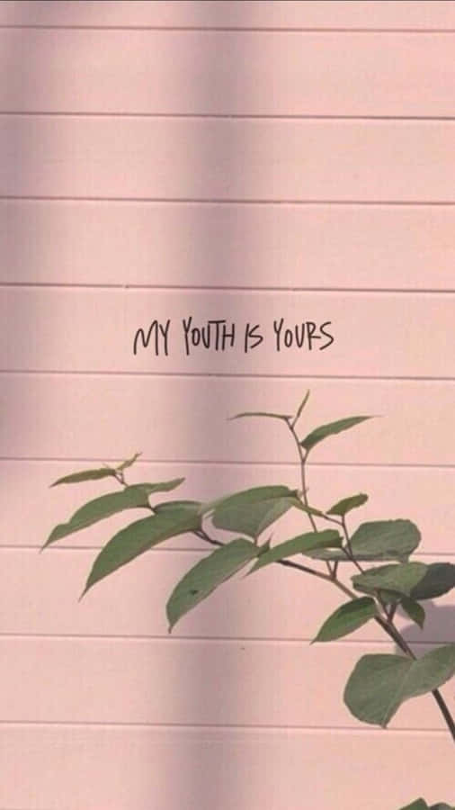 Minimalist Quotes In Pink Aesthetic Iphone Wallpaper