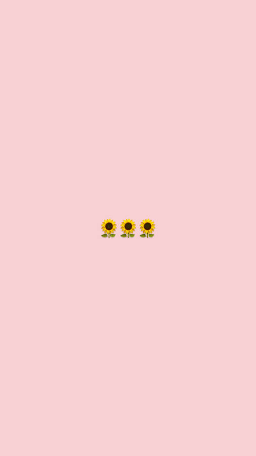 Minimalist Sunflower Tumblr Wallpaper
