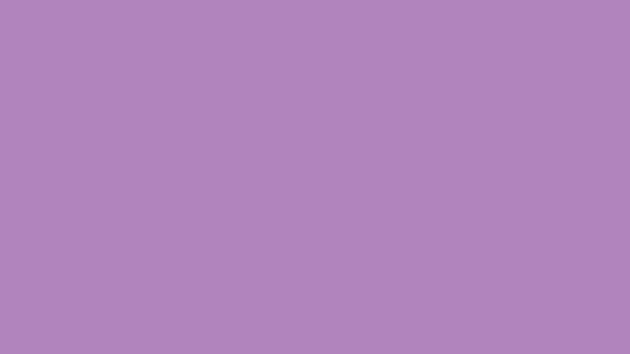 Minimalistic African Violet Wallpaper