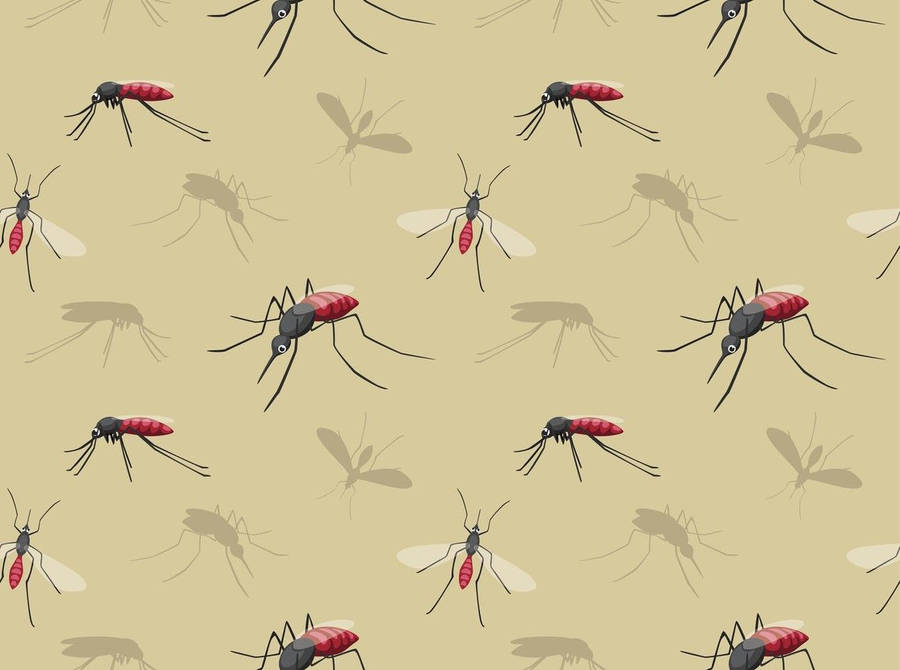 Minimalistic Cartoon Mosquito Wallpaper Wallpaper