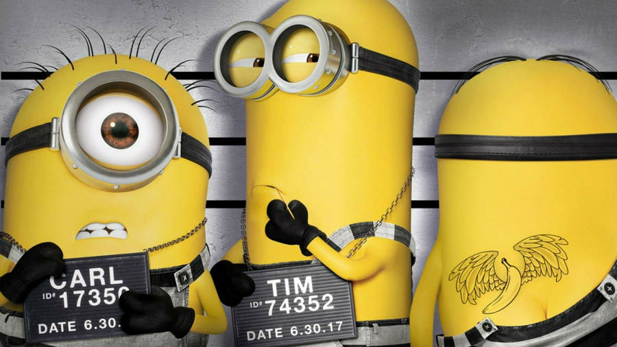 Minions As Inmates Despicable Me 3 Wallpaper