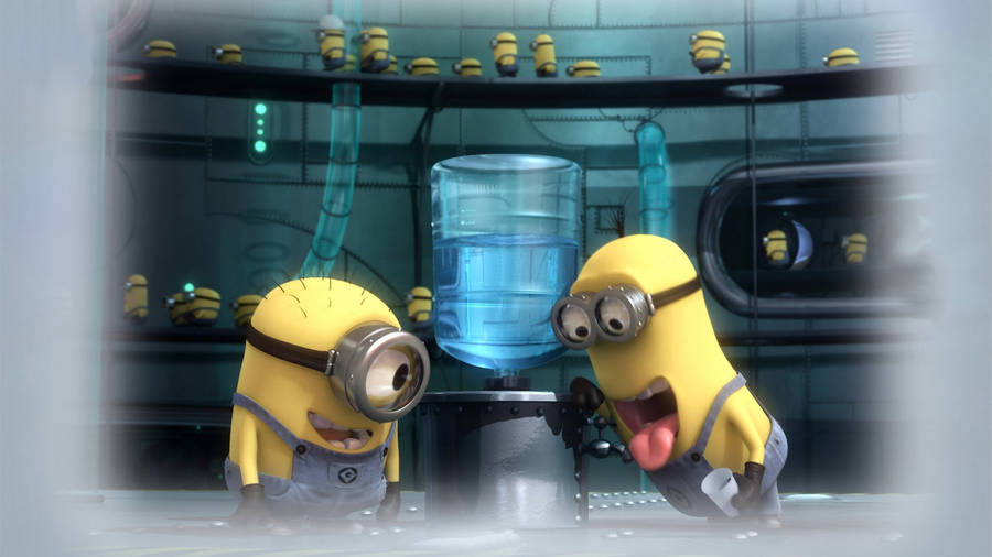 Minions Water Dispenser Despicable Me 2 Wallpaper