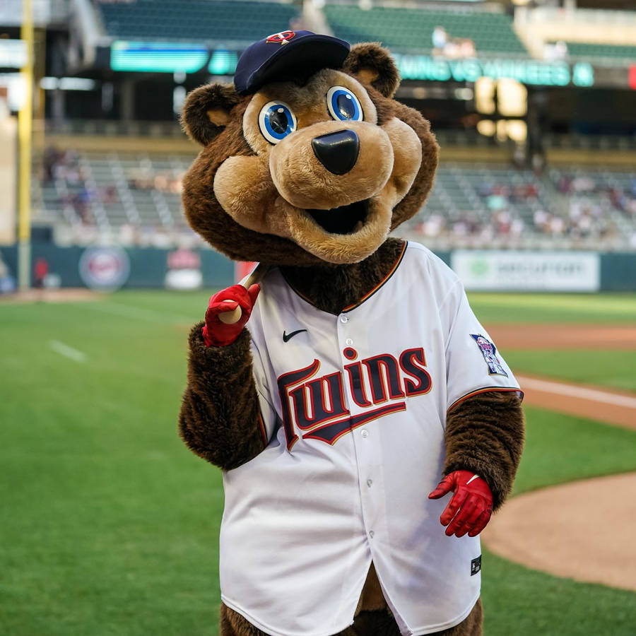 Minnesota Twins Mascot Wallpaper