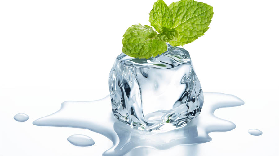 Mint On Ice Cube Wallpaper