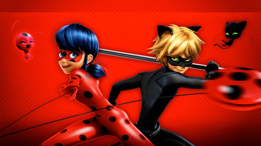 Miraculous Ladybug And Cat Noir Heroes Wallpaper