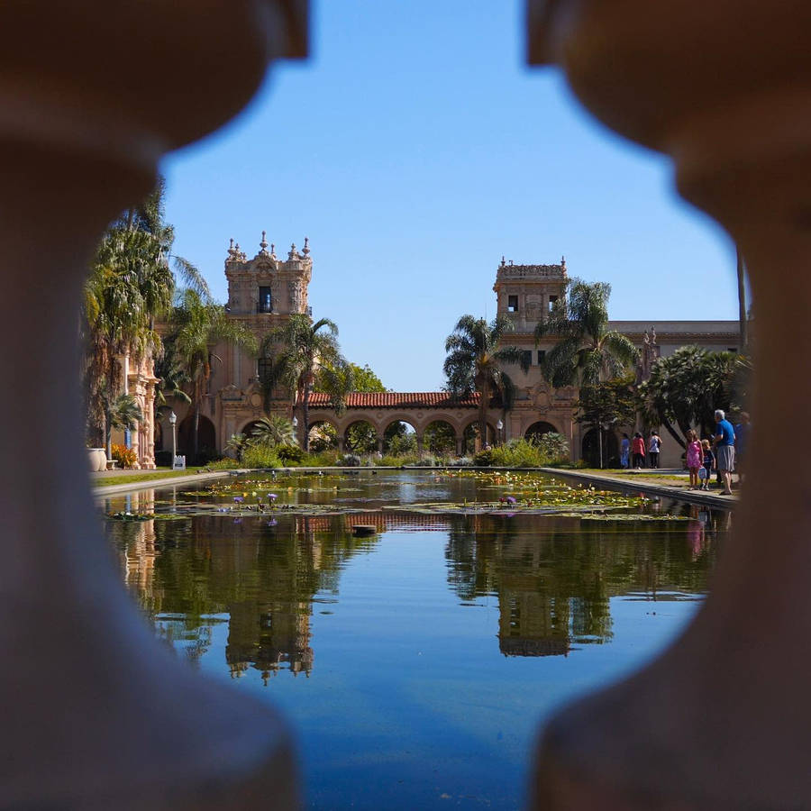 Mirror Reflection At Balboa Park Wallpaper