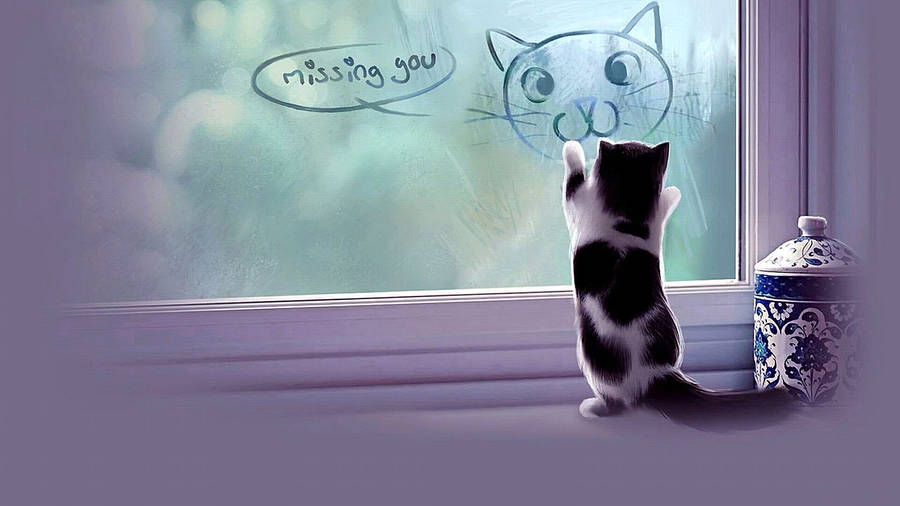 Missing You Cat Digital Painting Wallpaper