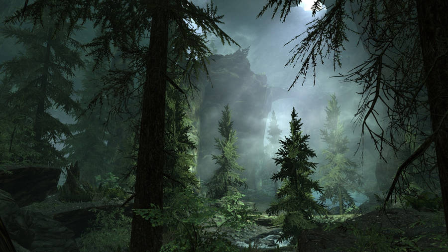 Misty Forest Screenshot Wallpaper