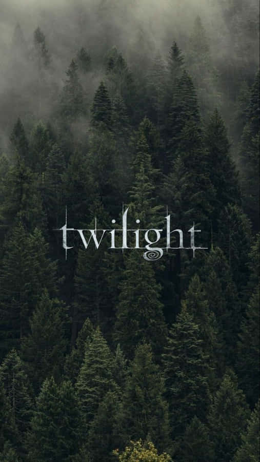 Misty_ Forest_ Twilight_ Wallpaper Wallpaper