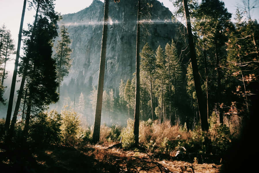 Misty Mountain Sunrise.jpg Wallpaper