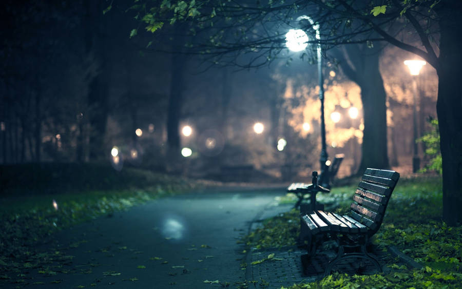 Misty_ Night_ Park_ Bench Wallpaper