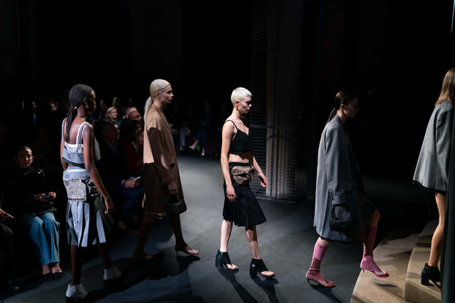 Miu Miu Runway Show Wallpaper