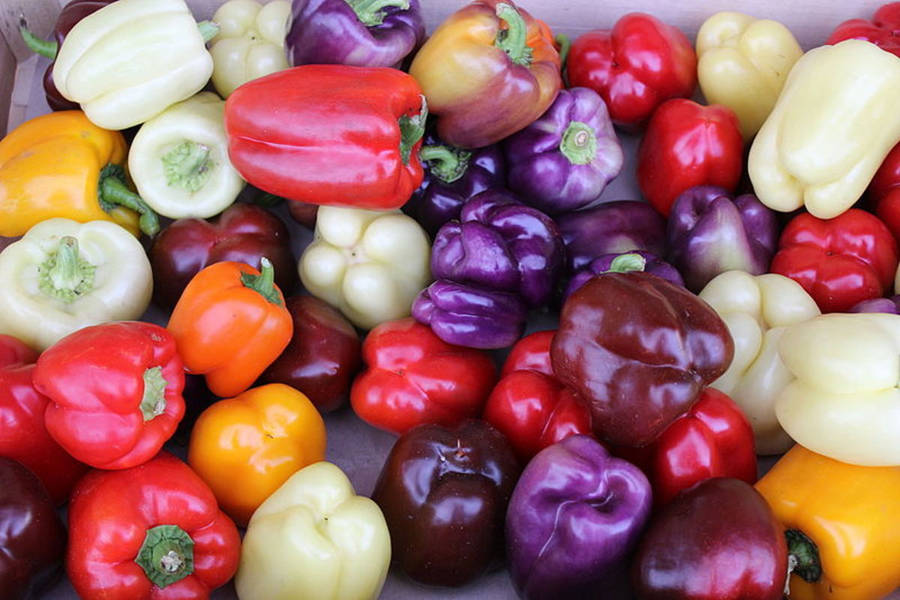 Mixed Color Bell Pepper Fruits Wallpaper