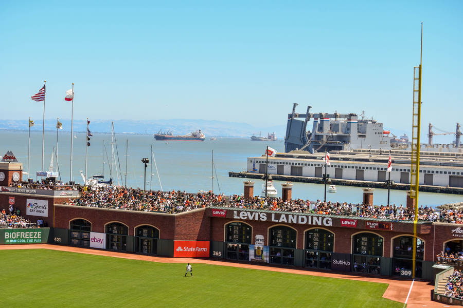 Mlb Baseball Game South Bay Wallpaper