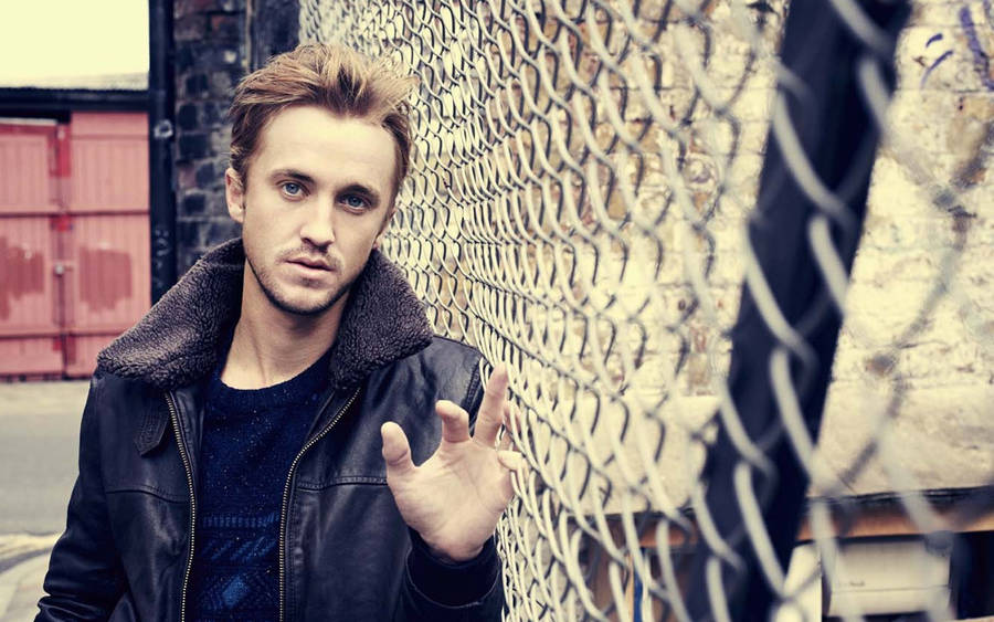 Model Actor Tom Felton Hd Wallpaper