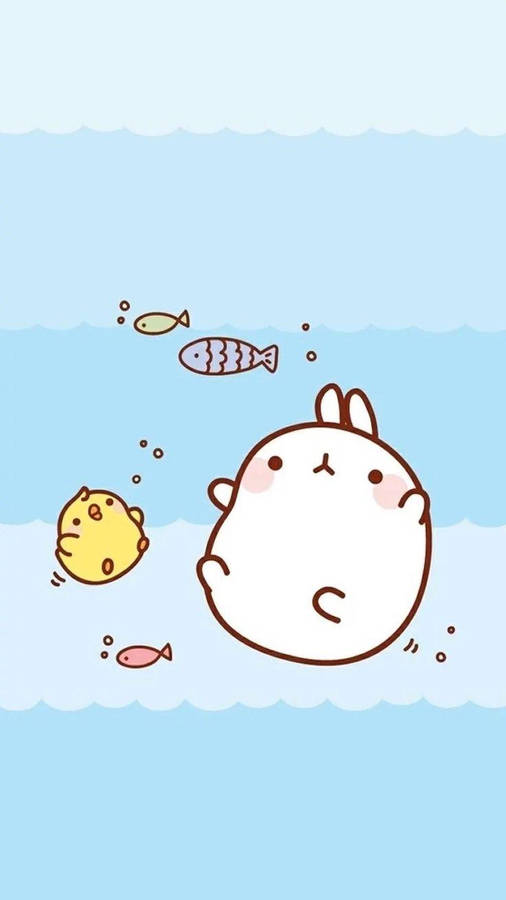 Molang And Piu Piu Swimming Wallpaper