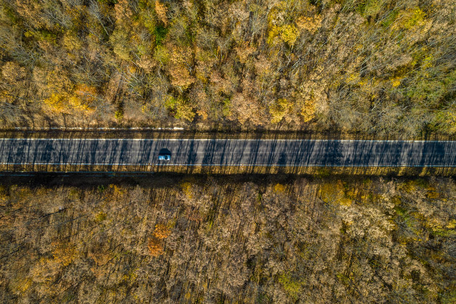 Moldova Road In Autumn Wallpaper