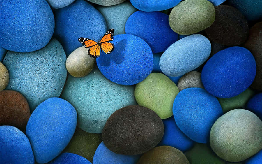 Monarch Butterflyon Colored Stones.jpg Wallpaper