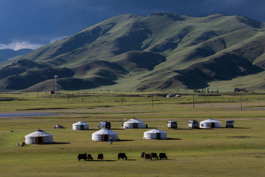 Mongolia Green Plains Wallpaper