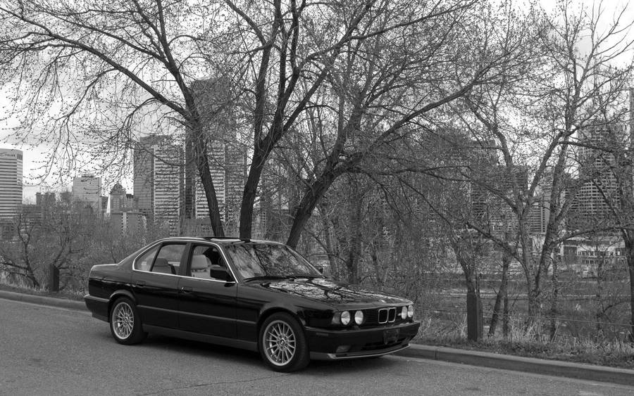 Monochrome Classic Bmw Wallpaper