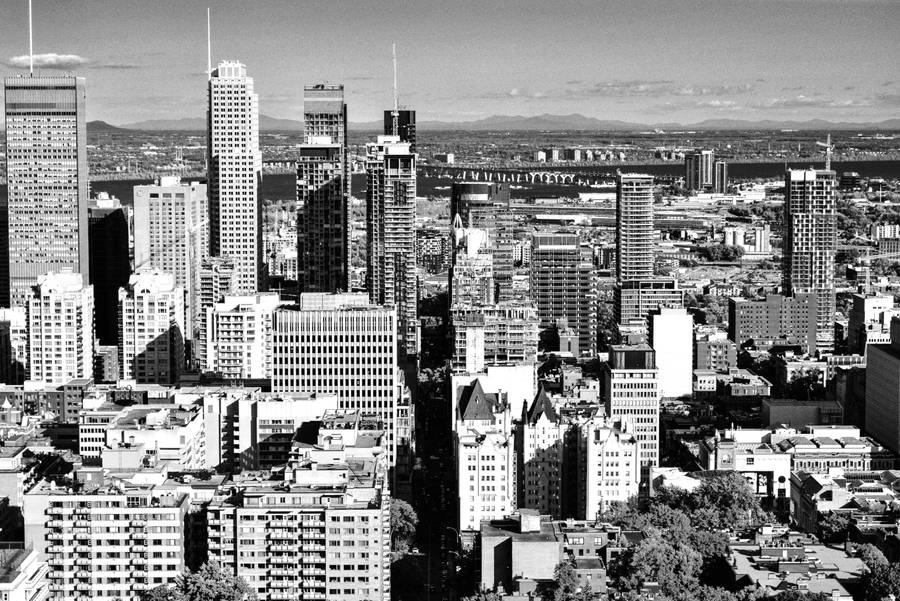 Monochrome Montreal City Wallpaper