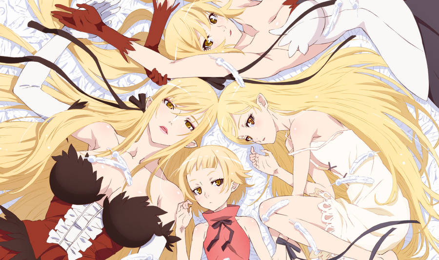 Monogatari Shinobu In Different Stage Wallpaper