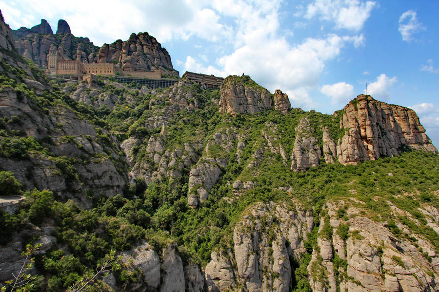 Montserrat Forest Mountain Wallpaper