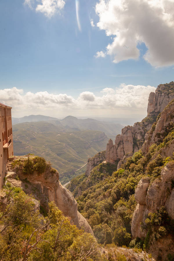 Montserrat Forest Mountains Wallpaper