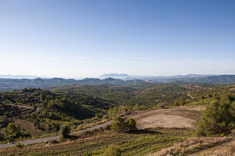 Montserrat Plain Fields Wallpaper