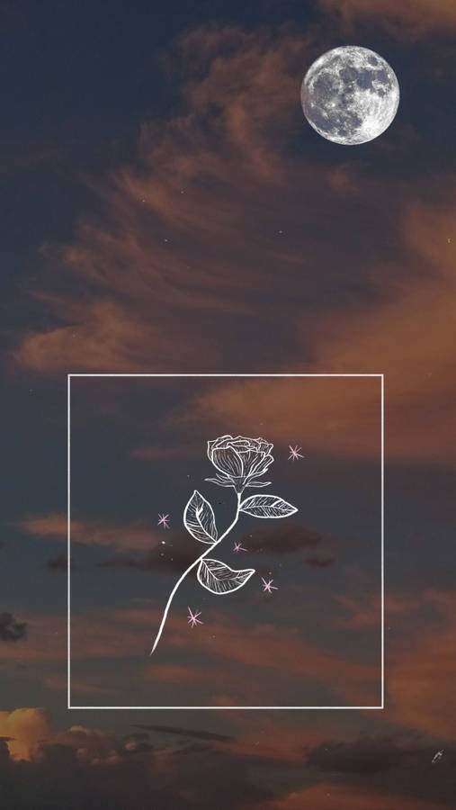 Moon Aesthetic Rose Sketch Wallpaper