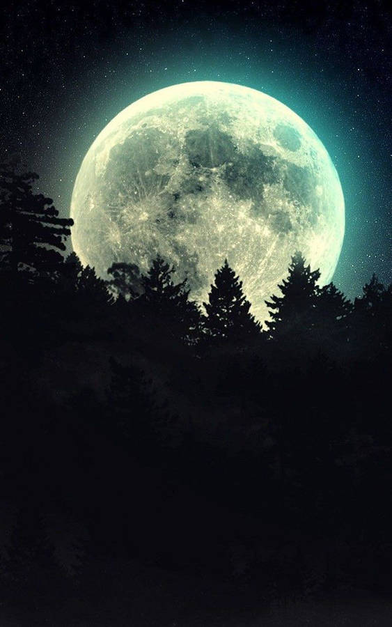 Moon Phone Pine Trees Wallpaper