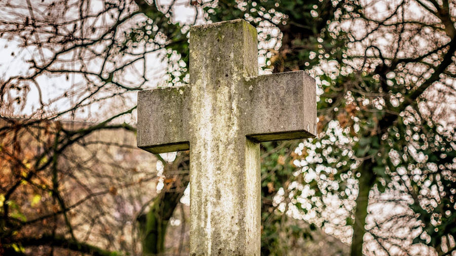 Moss-covered Cemented Cross Symbol Of The Christianity Religion Wallpaper