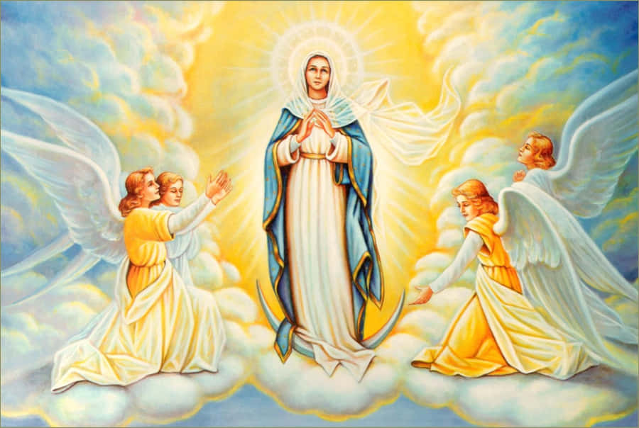 Mother Mary Our Lady Of Assumption Wallpaper