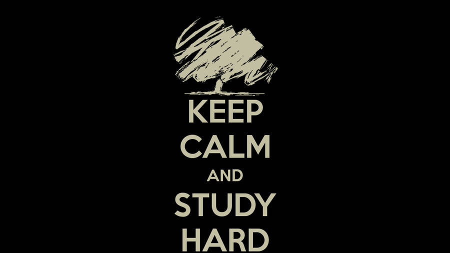 Motivational Studying Quote Wallpaper